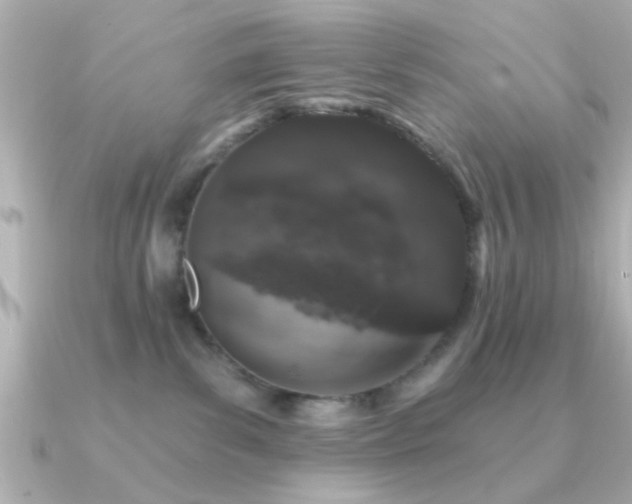 X0000091330139200708101432