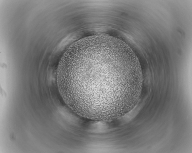 X0000091330140200708101432