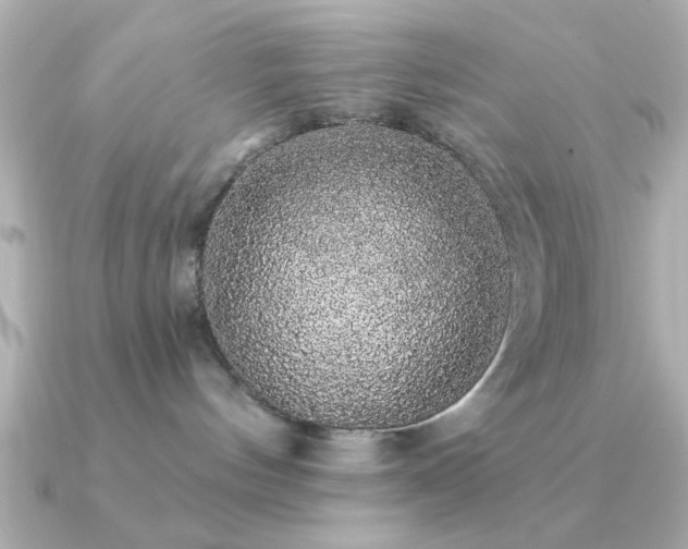 X0000091330144200708101432