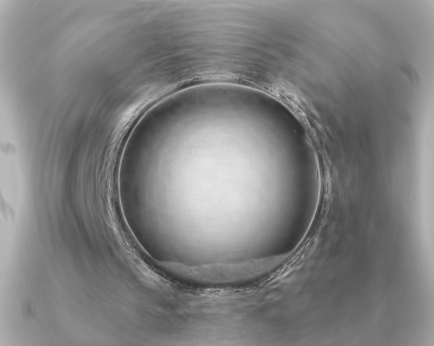 X0000091330145200708101432