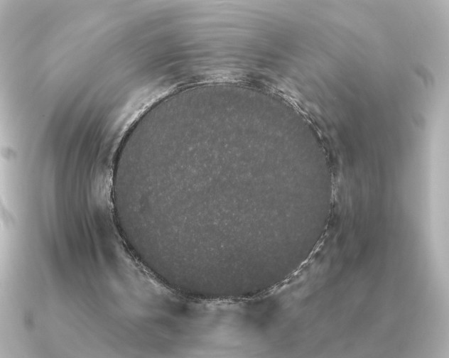 X0000091330146200708101432