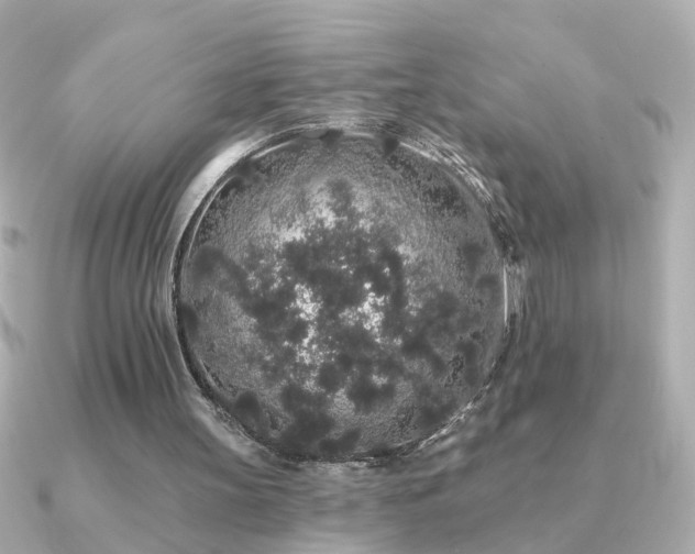 X0000091330147200708101432