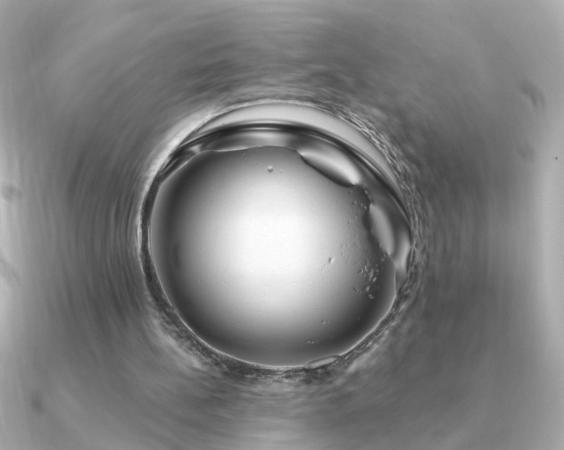 X0000091330148200708101432