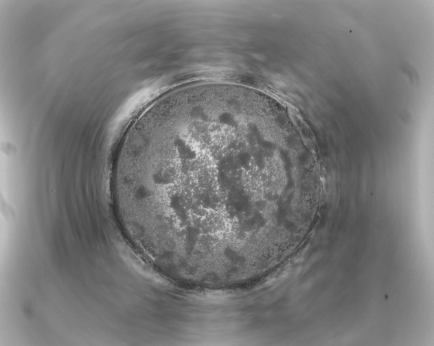 X0000091330149200708101432