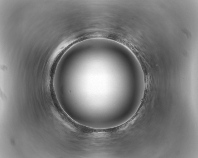 X0000091330150200708101432