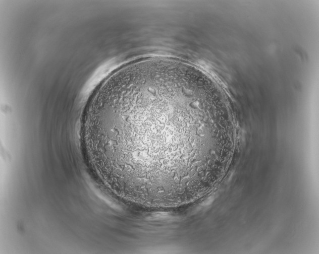 X0000091330151200708101432