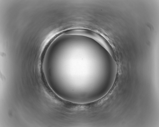 X0000091330152200708101432