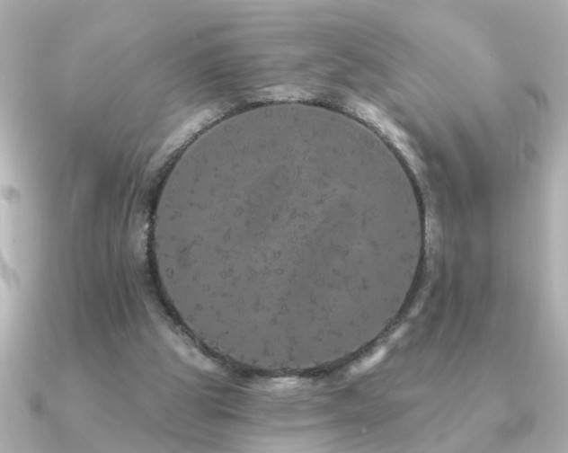 X0000091330153200708101432