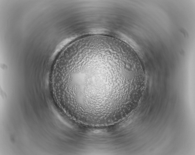 X0000091330155200708101432