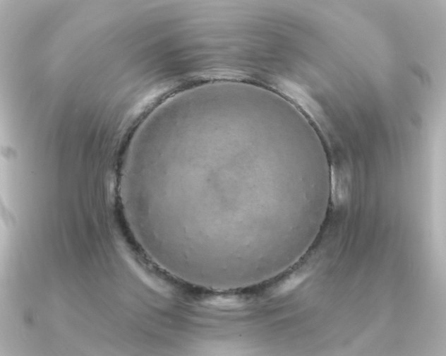 X0000091330157200708101432