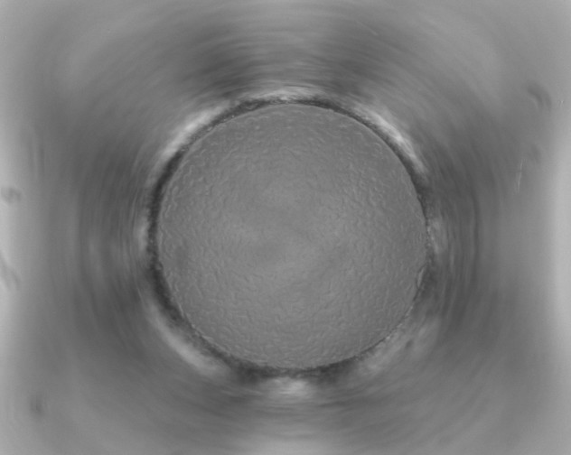 X0000091330159200708101432