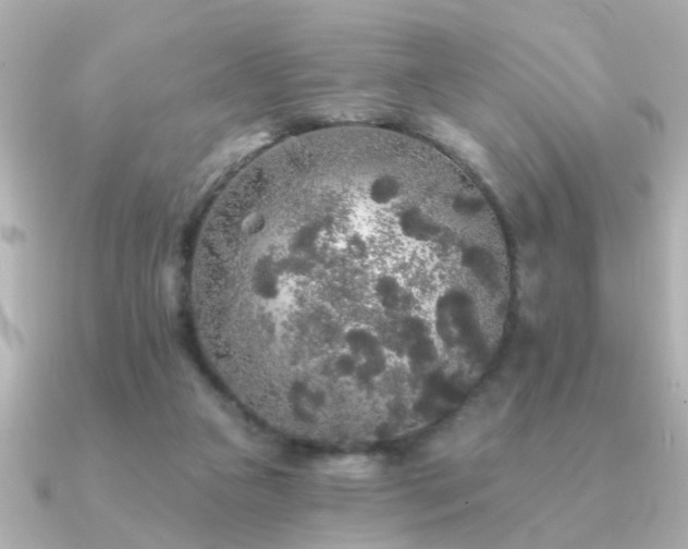 X0000091330161200708101432