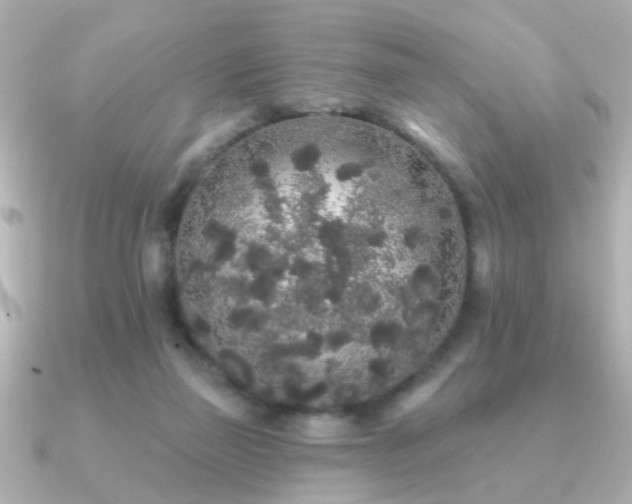 X0000091330165200708101432