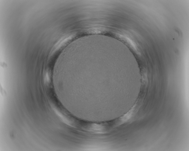 X0000091330166200708101432