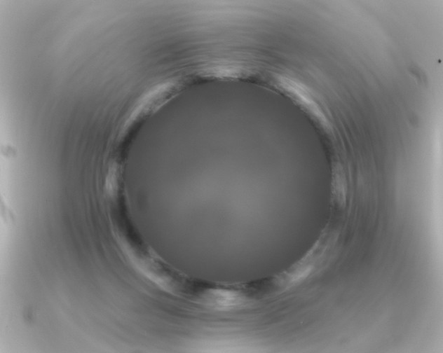 X0000091330167200708101432