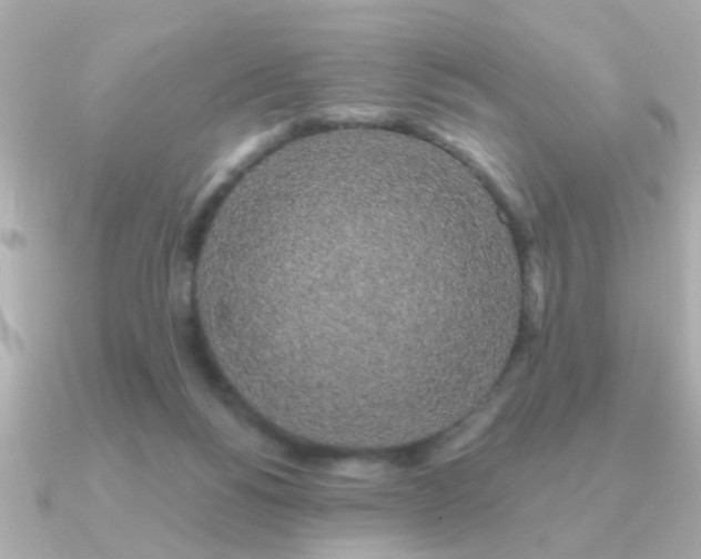 X0000091330168200708101432