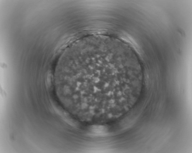 X0000091330169200708101432