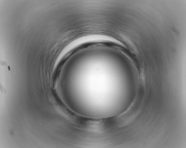 X0000091330170200708101432