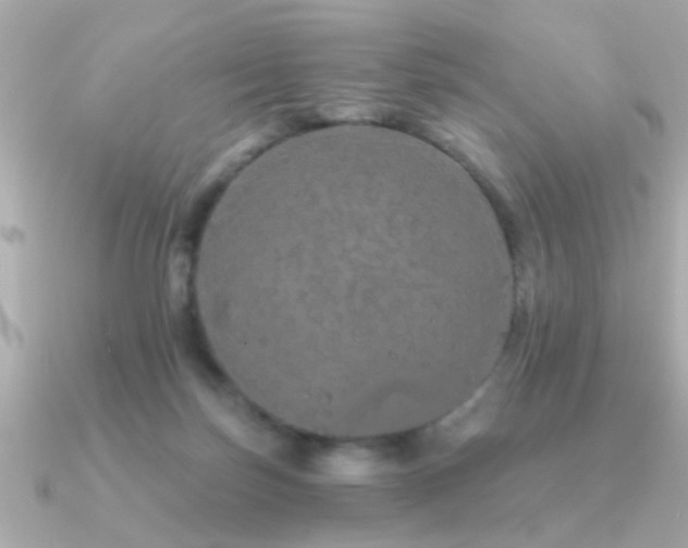 X0000091330171200708101432