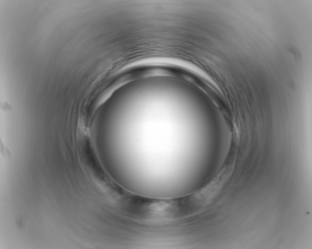 X0000091330172200708101432