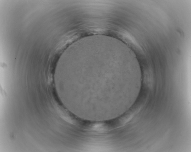 X0000091330173200708101432