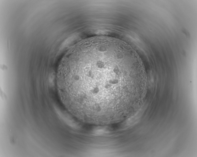 X0000091330175200708101432