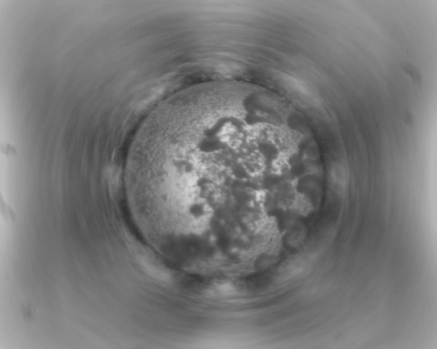 X0000091330177200708101432