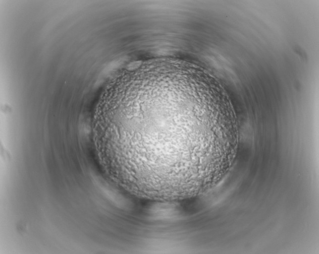 X0000091330179200708101432