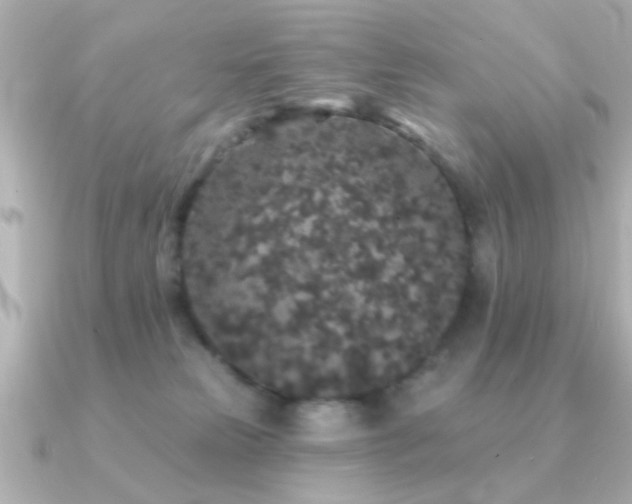 X0000091330181200708101432