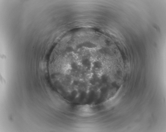 X0000091330182200708101432