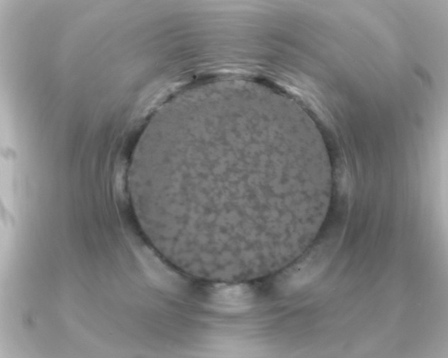 X0000091330185200708101432