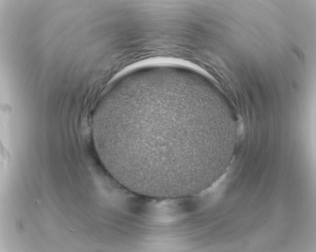 X0000091330186200708101432