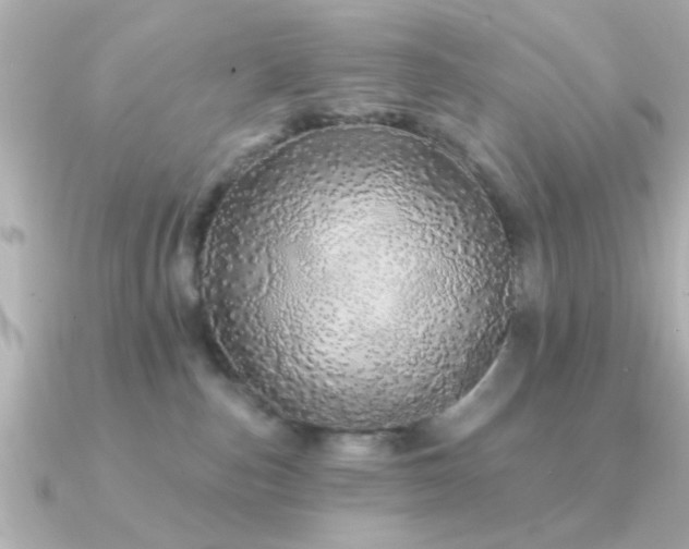 X0000091330187200708101432