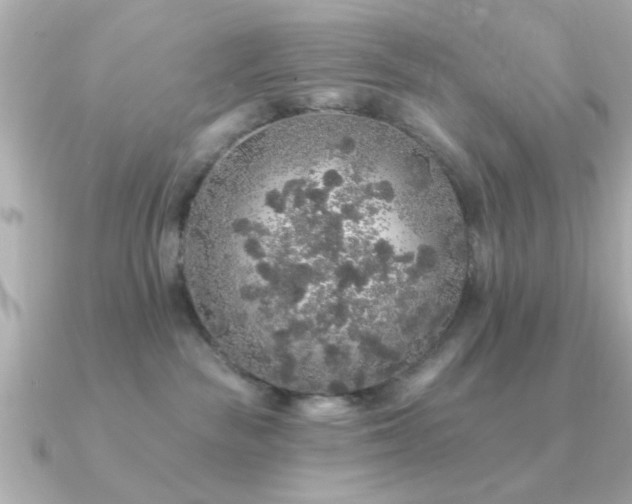 X0000091330189200708101432