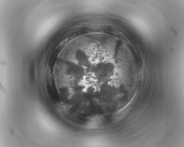 X0000091330191200708101432