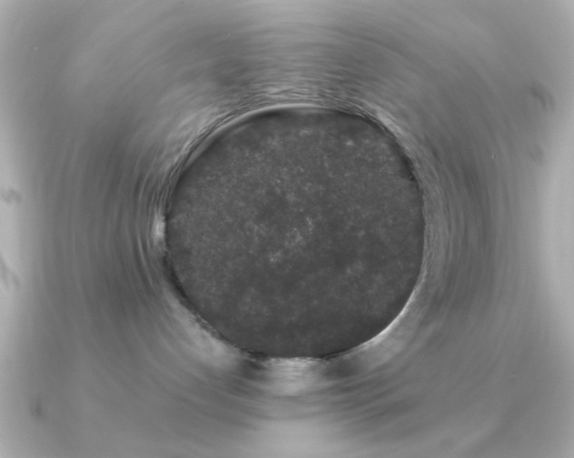 X0000091330192200708101432