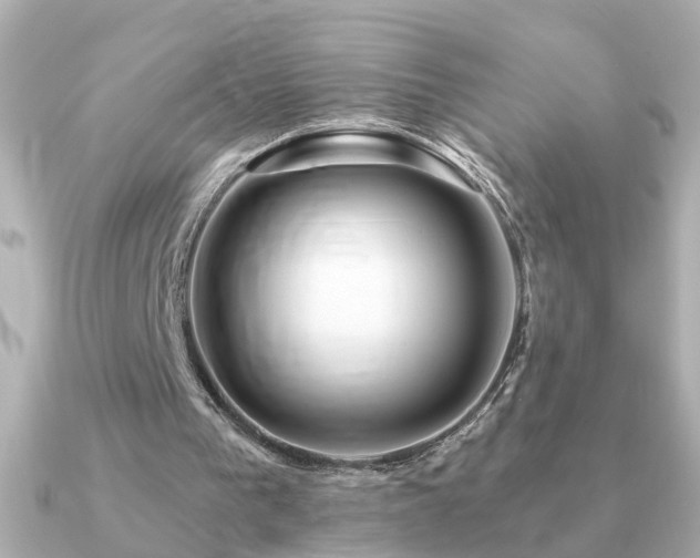 X0000091330193200708101432