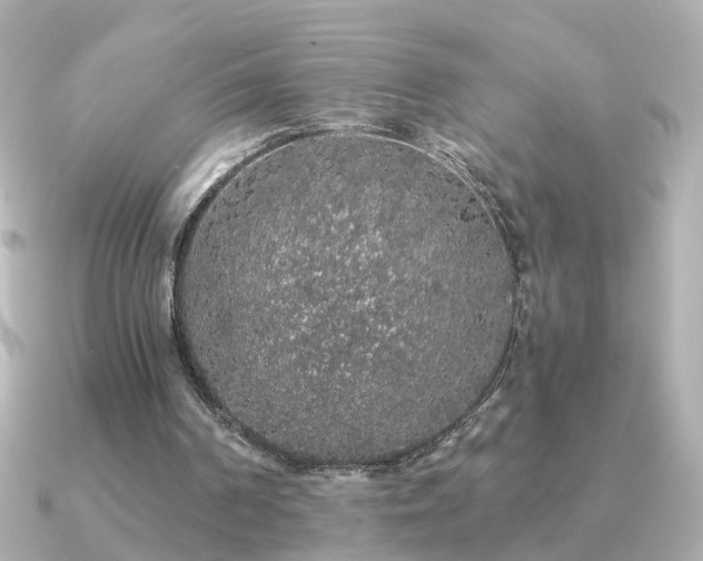 X0000091330194200708101432