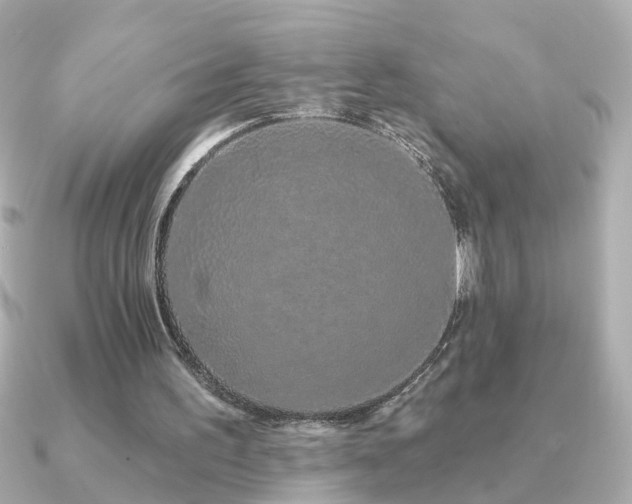 X0000091330195200708101432