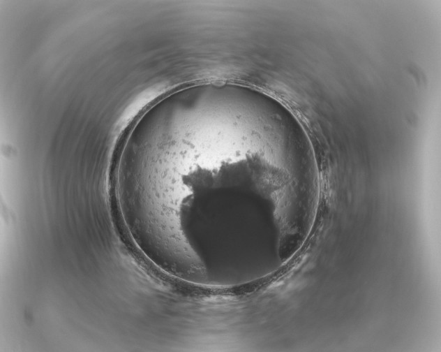 X0000091330196200708101432