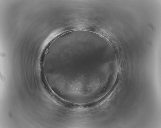 X0000091330198200708101432