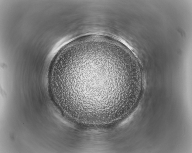 X0000091330199200708101432