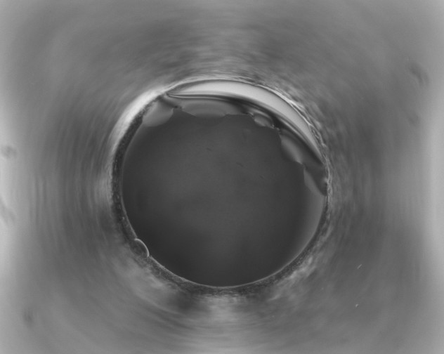 X0000091330200200708101432