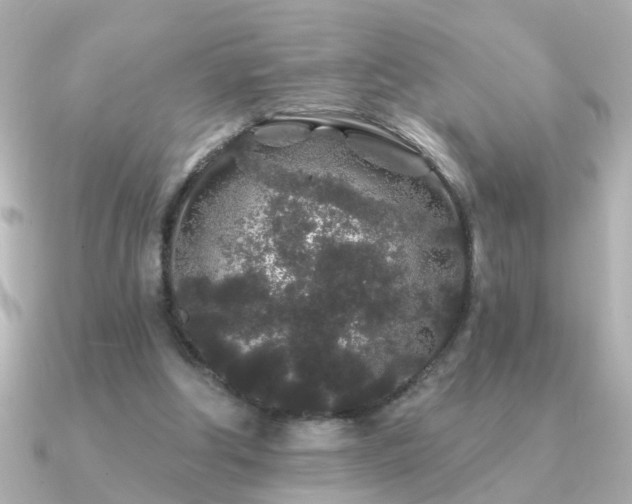 X0000091330202200708101432