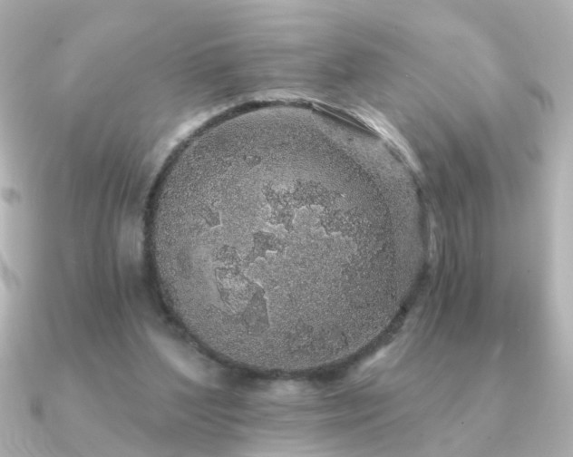 X0000091330204200708101432