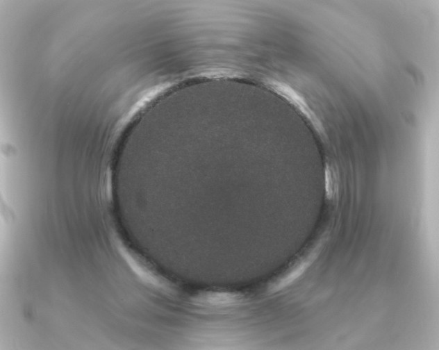 X0000091330205200708101432