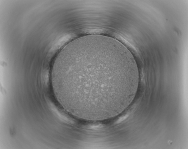 X0000091330206200708101432