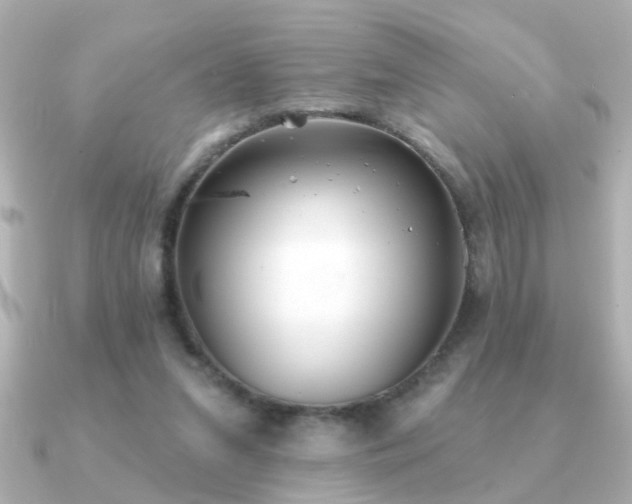 X0000091330207200708101432