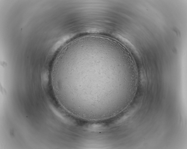 X0000091330208200708101432