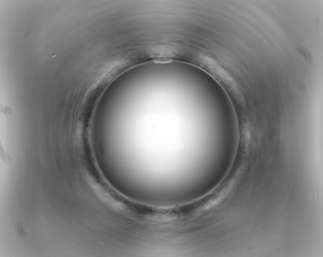 X0000091330209200708101432